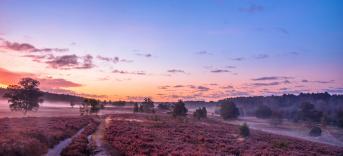 Urlaub Lüneburger Heide