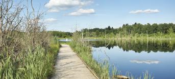 Villingen-Schwenningen Urlaub Villingen-Schwenningen