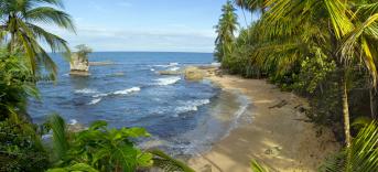 Last Minute Puerto Viejo De Talamanca