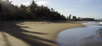 Last Minute Cabarete