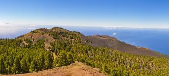 Puerto Naos Angebote