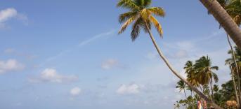 Last Minute Boca Chica