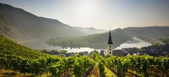 Weingut Bremm - Mosel Urlaub Rheinland-Pfalz