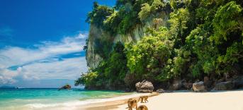 Monkey Beach - Insel Koh Pee Pee (Phi Phi) Pauschalreisen Thailand
