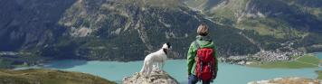 Hund, Wandern, Berge, See