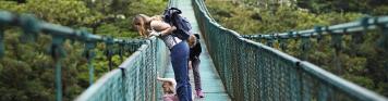 Familie, Hängebrücke, Wandern, Ausflug