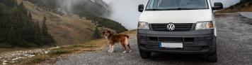 Hahntennjoch, Camper, Hund, Roadtrip, Berge, Bergpass