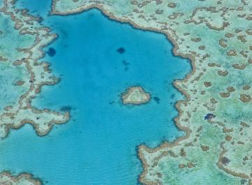 Great Barrier Reef Tipps und Ideen für nachhaltiges Reisen
