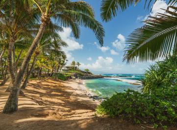 Kuau Cove So plant ihr einen Hawaii-Urlaub
