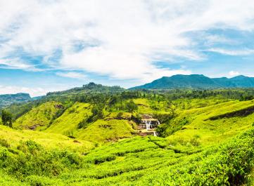 Reiseziele im August