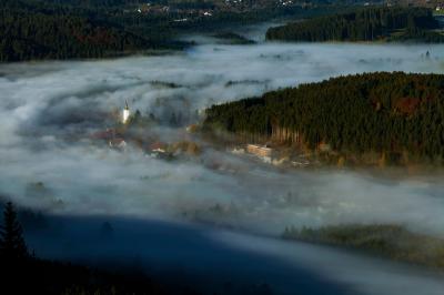 Titisee-Neustadt im Schwarzwald bei Nebel