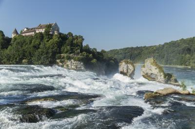 Der beeindruckende Rheinfall bei Schaffhausen ist ein beliebtes Ziel für Ausflüge. Rheinfall bei Schaffhausen