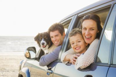 Familie, Hund, Auto, Strand