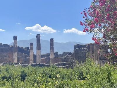 20073-italien_pompeji_hanke