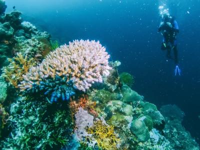 13818-news-riff_gettyimages-1128580867