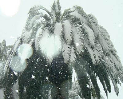 13724-gettyimages-575424713