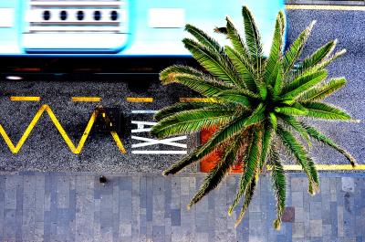 Taxi-Streik in Italien: In Rom, Neapel und weiteren Städten drohen am 28. Mai 2025 Ausfälle Straße, Auto, Taxistand, Palme