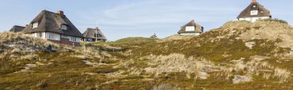 Dünen, Ferienhaus, Ferienwohnung, Nordsee Sylt