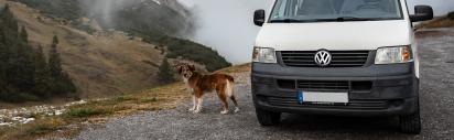 Hahntennjoch, Camper, Hund, Roadtrip, Berge, Bergpass