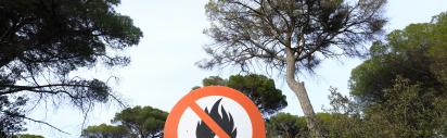 Waldbrand, Schild, Feuer