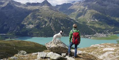 Hund, Wandern, Berge, See