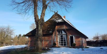 Deutschland-Mecklenburg-Vorpommern-Palinger-Heide_LVO