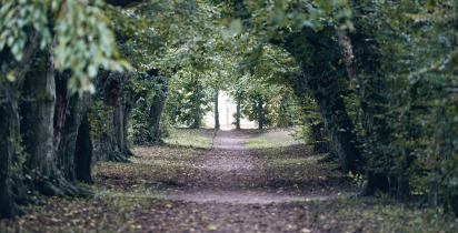 Trebeltal - Mecklenburg-Vorpommern Trebeltal Mecklenburg-Vorpommern