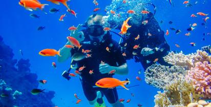 Korallenriff Ägypten