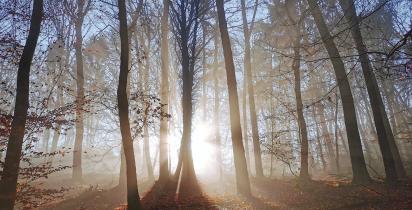 Saarland - Blieskastel Saarland Blieskastel