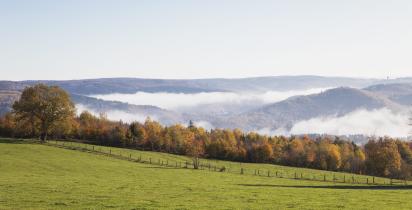 Nationalpark Eifel Eifel