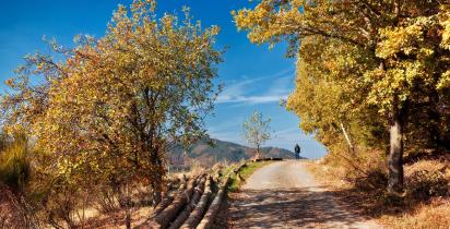 Rothaargebirge Sauerland