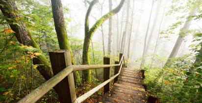 Gauja Nationalpark Lettland