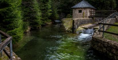 Wald, Fluss Thüringer Wald