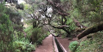 Portugal-Madeira-Levada 25 Fontes_lvo