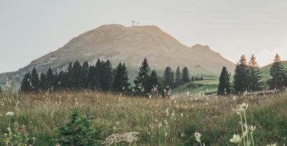 Kriegerhorn Österreich-Vorarlberg-Lech-Kriegerhorn-LVO