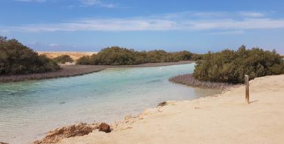 Aegypten-Ras Mohammed-Nationalpark