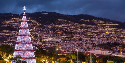Weihnachtsbaum, Stadt Funchal