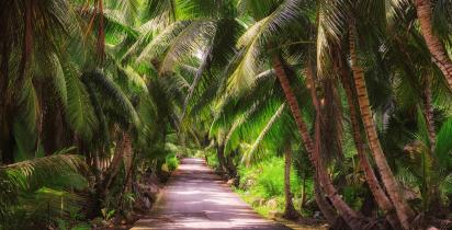 Jardin du Roi Seychellen