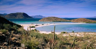 Bahia Concepcion Mexiko