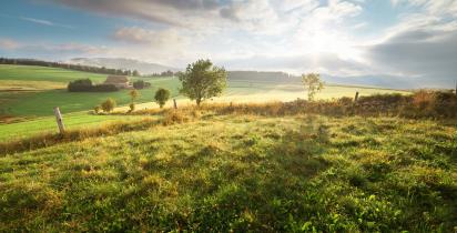 Deutschland: Schwarzwald II