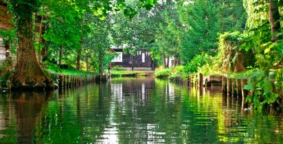 Spreewald Spreewald