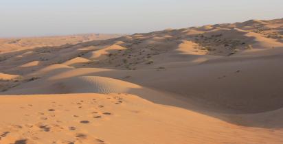 Wahiba Sands Wüste Wahiba Sands