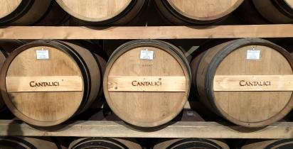 Wein, Fass, Lager Toskana