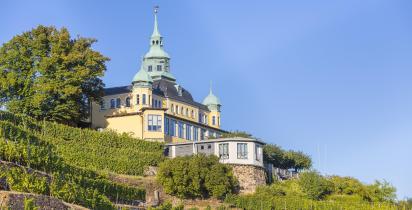 Radebeul (Dresden) Weinstock, Haus, Weinberg Radebeul (Dresden)