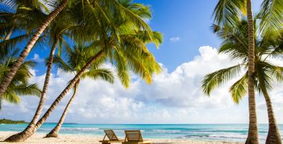 Strand mit Palmen und Liegestühlen auf der Isla Saona in Villa Altagracia.