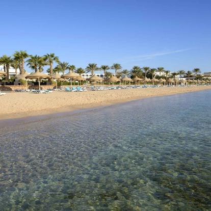 Sharks Bay (Sharm el Sheikh)