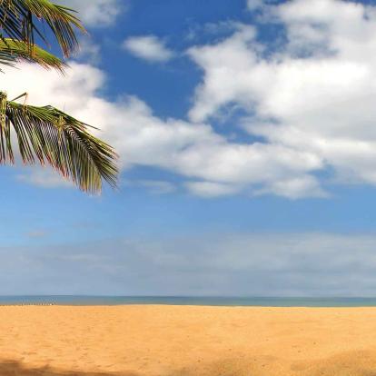 Playa del Duque (Costa Adeje)