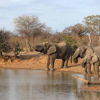 Vaalkop Dam Nature Reserve (Rustenburg)