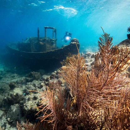 Willemstad (Insel Curacao)