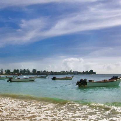 Grand Riviere (Insel Trinidad)